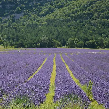 Maison De Vacances - Montfuron * Villemus